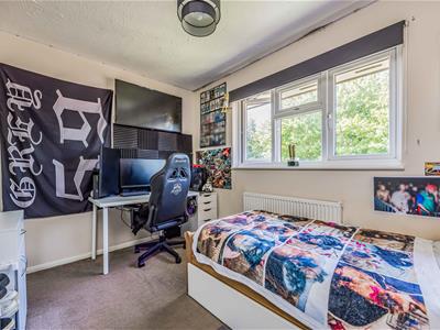 Picture 17